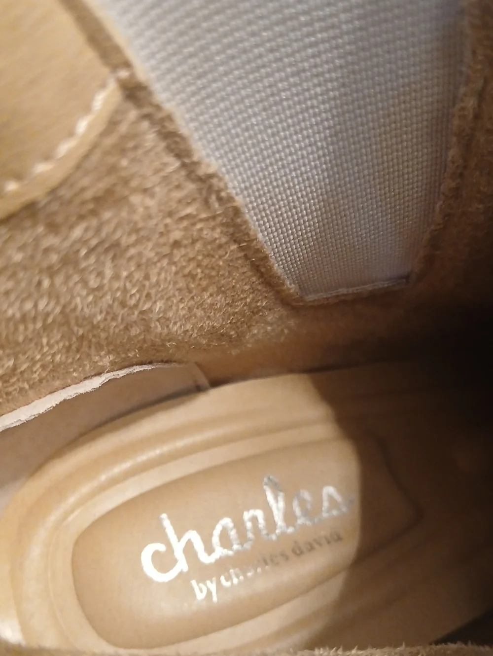 Charles by Charles David Dolores  Metallic Pointed Toe 4
